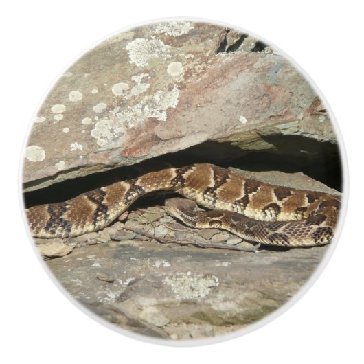 Rattlesnake im Shenandoah-Nationalpark Keramikknauf (Vorderseite)
