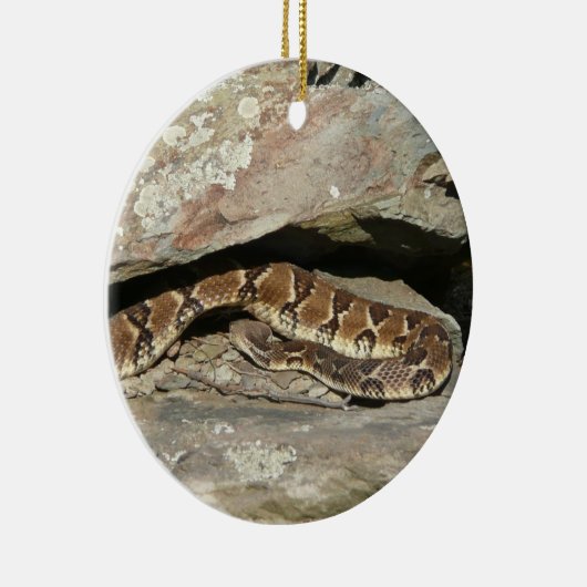 Rattlesnake im Shenandoah-Nationalpark Keramikornament (Rechts)