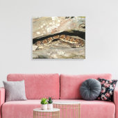 Rattlesnake im Shenandoah-Nationalpark Leinwanddruck (Insitu (Wohnzimmer))