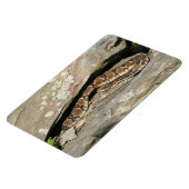 Rattlesnake im Shenandoah-Nationalpark Magnet (Linke Seite)