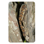 Rattlesnake im Shenandoah-Nationalpark Magnet (Vertikal)