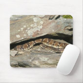 Rattlesnake im Shenandoah-Nationalpark Mousepad (Mit Mouse)