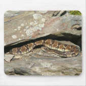 Rattlesnake im Shenandoah-Nationalpark Mousepad (Vorne)