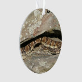 Rattlesnake im Shenandoah-Nationalpark Ornament (Vorderseite)