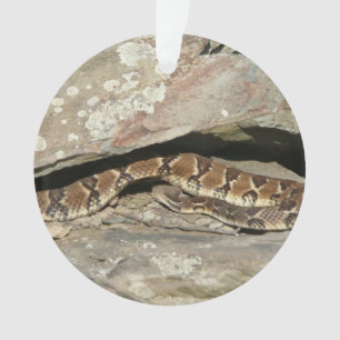 Rattlesnake im Shenandoah-Nationalpark Ornament