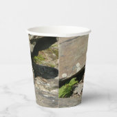 Rattlesnake im Shenandoah-Nationalpark Pappbecher (Rechts)