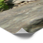 Rattlesnake im Shenandoah-Nationalpark Poster (Ecke)