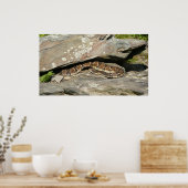 Rattlesnake im Shenandoah-Nationalpark Poster (Küche)