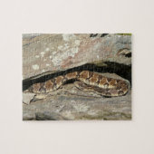 Rattlesnake im Shenandoah-Nationalpark Puzzle (Horizontal)