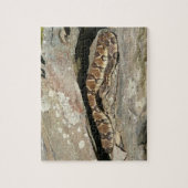 Rattlesnake im Shenandoah-Nationalpark Puzzle (Vertikal)