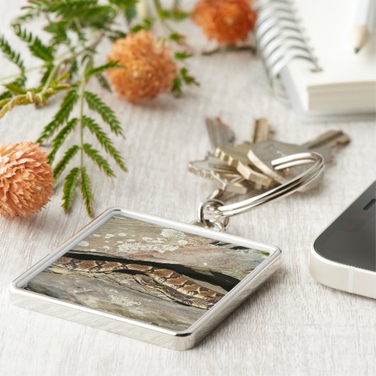 Rattlesnake im Shenandoah-Nationalpark Schlüsselanhänger (Seite)
