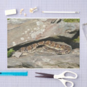 Rattlesnake im Shenandoah-Nationalpark Seidenpapier (Handwerk)