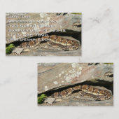 Rattlesnake im Shenandoah-Nationalpark Visitenkarte (Vorne/Hinten)