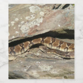 Rattlesnake im Shenandoah-Nationalpark Weinetikett (Einzelnes Label)