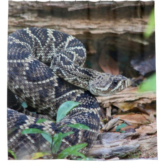 Rattlesnake In The Wild Duschvorhang (Vorderseite)