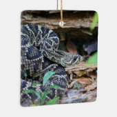 Rattlesnake In The Wild Keramikornament (Rechts)