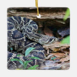 Rattlesnake In The Wild Keramikornament