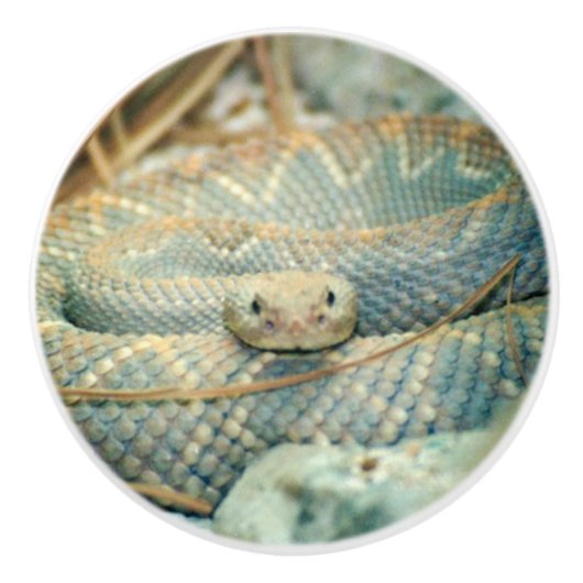Rattlesnake Keramikknauf (Vorderseite)