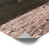 Rattlesnake Lake, Washington Print Poster (Ecke)