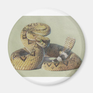 Rattlesnake Magnet