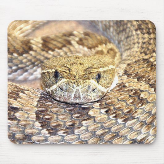 Rattlesnake Mousepad (Vorne)