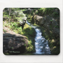 Rattlesnake Pool Mouse Pad