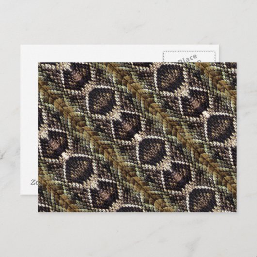 Rattlesnake Postcard Postkarte (Vorne/Hinten)