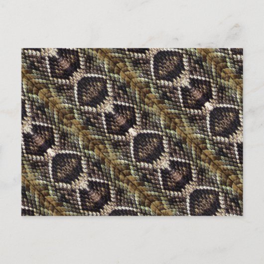 Rattlesnake Postcard Postkarte (Vorderseite)