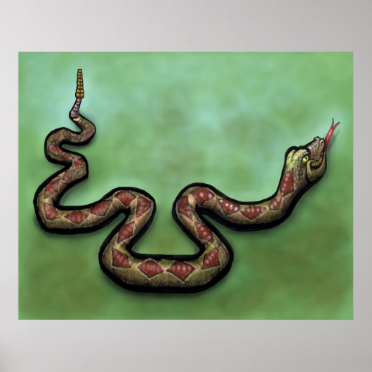 Rattlesnake Poster (Vorne)