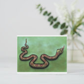 Rattlesnake Postkarte (Stehend Vorderseite)