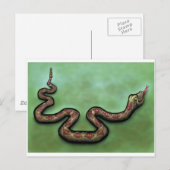 Rattlesnake Postkarte (Vorne/Hinten)
