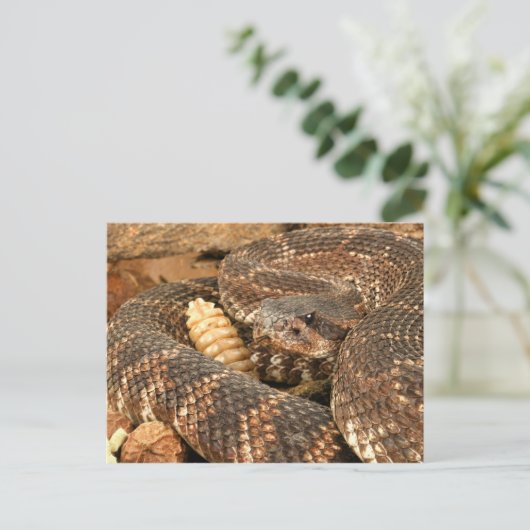 Rattlesnake. Postkarte (Stehend Vorderseite)