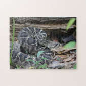 Rattlesnake Puzzle (Horizontal)