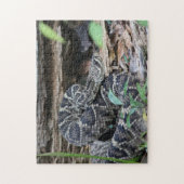 Rattlesnake Puzzle (Vertikal)