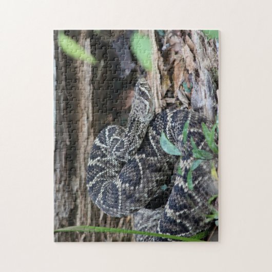 Rattlesnake Puzzle (Vertikal)