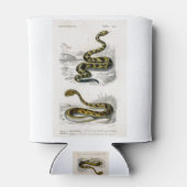 Rattlesnake Saharan horned Viper Illustration Dosenkühler (Rückseite)