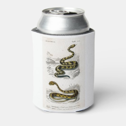 Rattlesnake Saharan horned Viper Illustration Dosenkühler (Kanne Rückseite)