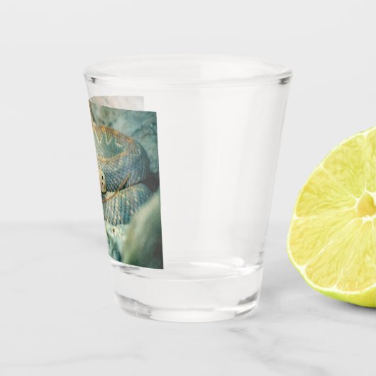 Rattlesnake Schnapsglas (Rechts)