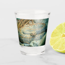 Rattlesnake Schnapsglas