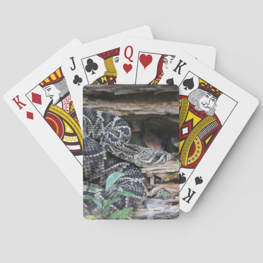 Rattlesnake Spielkarten (Rückseite)