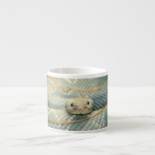 Rattlesnake Tasse (Vorderseite)