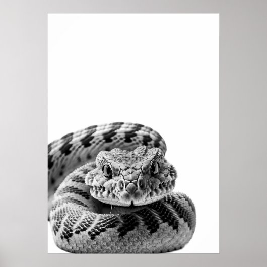 Rattlesnake Woodland Modernes Portrait Schwarz-wei Poster (Vorne)