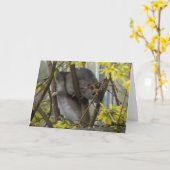 Ratty cuddles Grußkarte Karte (Gelbe Blume)