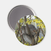 Ratty cuddles Magnet (Vorderseite/Rückseite)