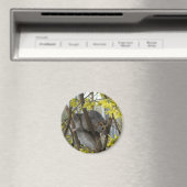 Ratty cuddles Magnet (In Situ (Geschirrspüler))