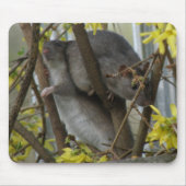 Ratty cuddles Mousepad (Vorne)