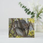 Ratty cuddles Postcard Postkarte (Stehend Vorderseite)