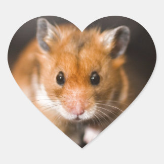 Ratty der Hamster Herz-Aufkleber