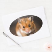 Ratty der Hamster Ovaler Aufkleber (Umschlag)