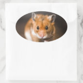 Ratty der Hamster Ovaler Aufkleber (Tasche)